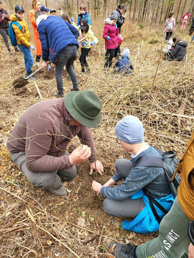 Acțiune de plantare a 3.650 de puieți forestieri, cu voluntari, la OS Marginea