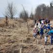 Acțiune de plantare a 3.650 de puieți forestieri, cu voluntari, la OS Marginea