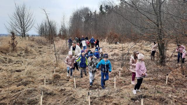 Acțiune de plantare a 3.650 de puieți forestieri, cu voluntari, la OS Marginea