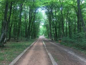 În viața noastră suntem ispitiți să credem că trebuie să fim tot timpul ocupați
