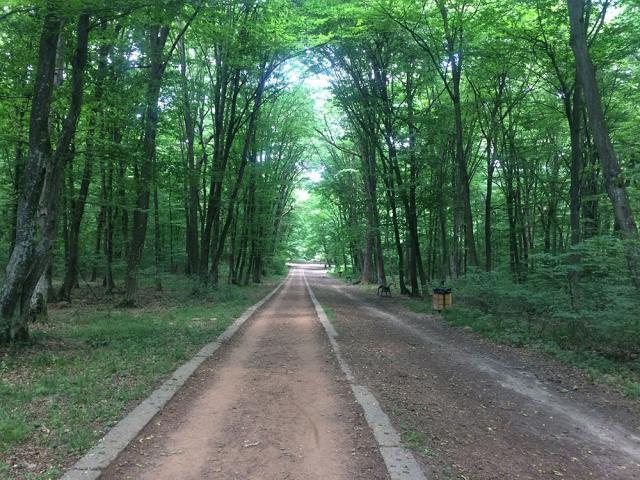 În viața noastră suntem ispitiți să credem că trebuie să fim tot timpul ocupați