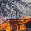 Pagube de 150.000 de lei în urma unui incendiu la Sadova