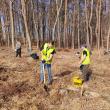 1500 de puieți de arbori, plantați la Ocolul Silvic Adâncata, cu angajații de la Leroy Merlin