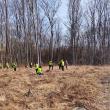 1500 de puieți de arbori, plantați la Ocolul Silvic Adâncata, cu angajații de la Leroy Merlin