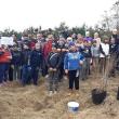 Peste 100 de elevi au luat parte la o acțiune de împădurire care a avut loc la Cacica