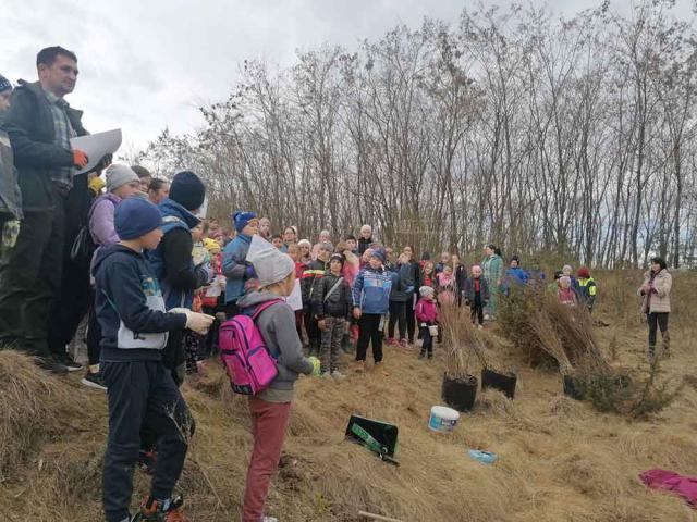 Peste 100 de elevi au luat parte la o acțiune de împădurire care a avut loc la Cacica