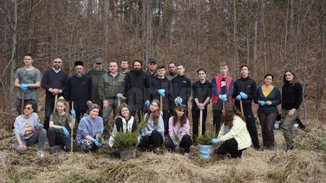 Voluntarii ATOS au participat la o acțiune de împădurire, la Ocolul Silvic Bisericesc Ilișești