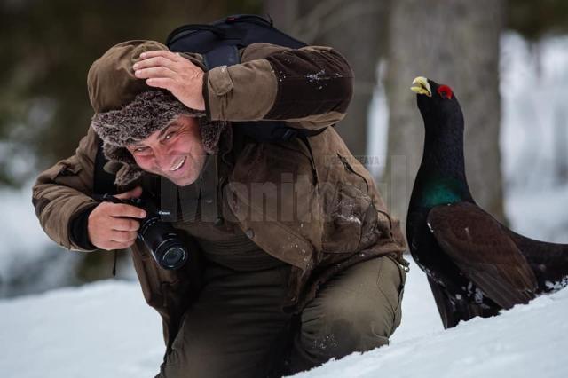 „Prietenie” neobișnuită între un cocoș de munte și un fotograf, în munții Bucovinei