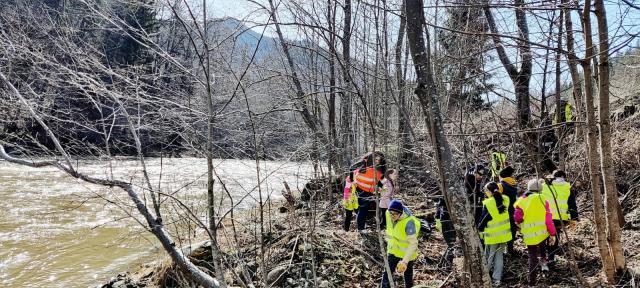 Ecologizare la Crucea