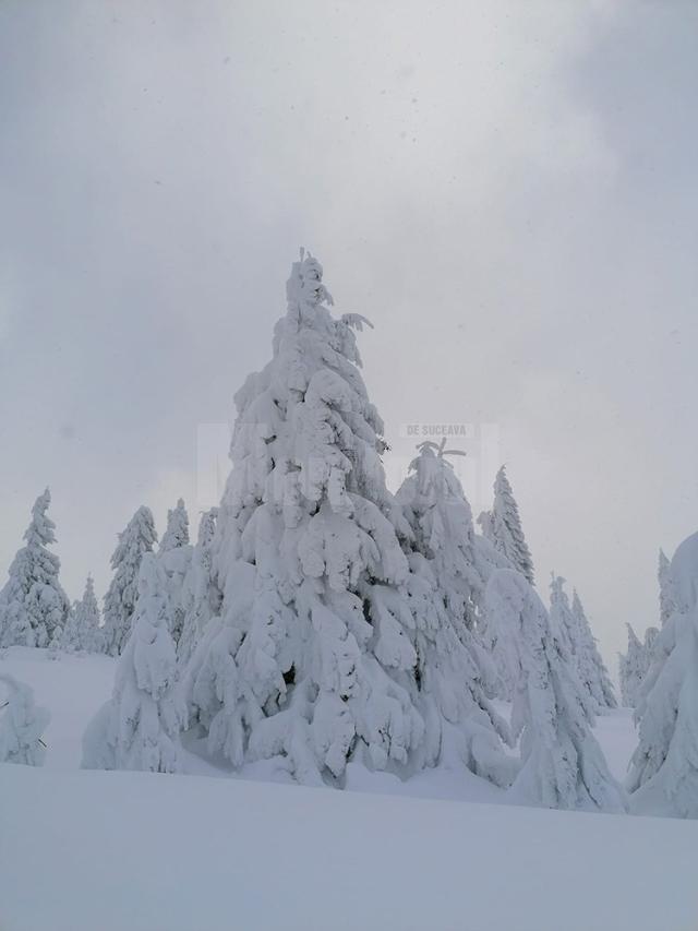 Zăpada în zonele montane are grosimi mari, chiar și de doi metri