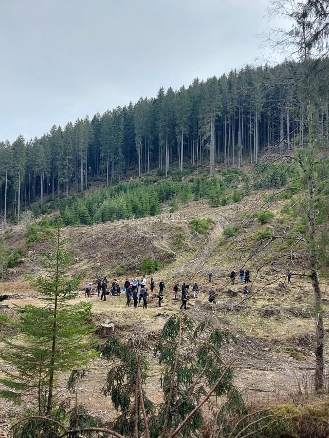 "Verde pentru planeta albastră", la Ocolul Silvic Stulpicani