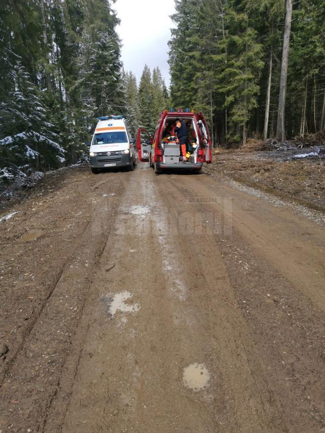 Un bărbat lovit de un arbore, transportat la spital cu un elicopter