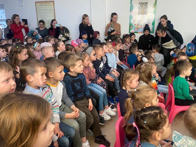 Activități creative la care au participat preșcolarii de la Grădinița „Stejărelul” Cajvana