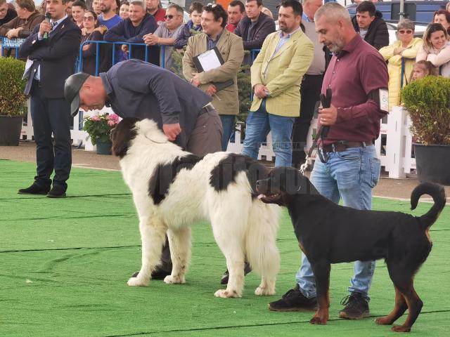 Bucovina Dog Show 2022 s-a desfasurat pe parcursul a două zile - 30 aprilie si 1 mai 2