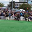 Bucovina Dog Show 2022 s-a desfasurat pe parcursul a două zile - 30 aprilie si 1 mai 6