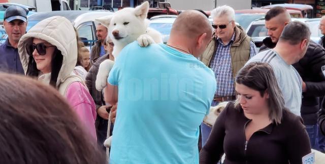 Bucovina Dog Show 2022 s-a desfasurat pe parcursul a două zile - 30 aprilie si 1 mai 7