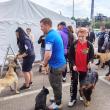 Bucovina Dog Show 2022 s-a desfasurat pe parcursul a două zile - 30 aprilie si 1 mai 8