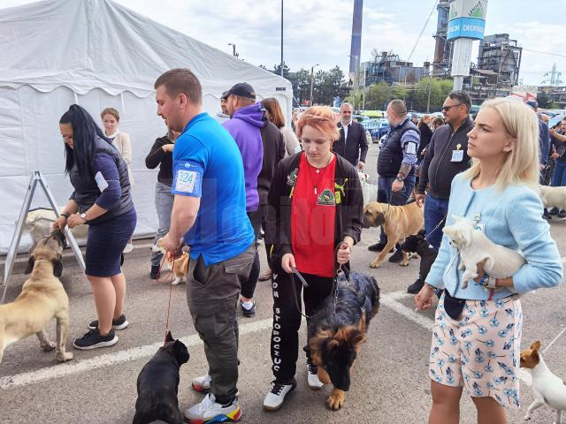 Bucovina Dog Show a revenit în parcarea Shopping City Suceava, după doi ani de pandemie, cu competiții chinologice organizate pe parcursul a două zile – 30 aprilie și 1 mai 3