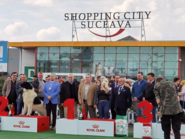 Bucovina Dog Show a revenit în parcarea Shopping City Suceava, după doi ani de pandemie, cu competiții chinologice organizate pe parcursul a două zile – 30 aprilie și 1 mai 3