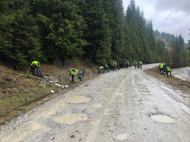 Aproape 6 tone de deșeuri au fost colectate de către silvicultori, în doar câteva zile, pe raza a 12 ocoale silvice