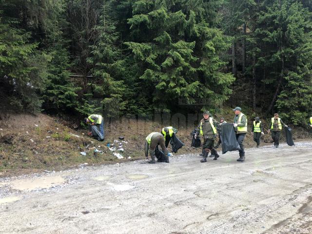 6 tone de deșeuri colectate de angajații a 12 ocoale silvice din Suceava, în câteva zile