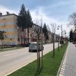 Modernizările de pe strada Bogdan Vodă, echilibru între boem și modernism