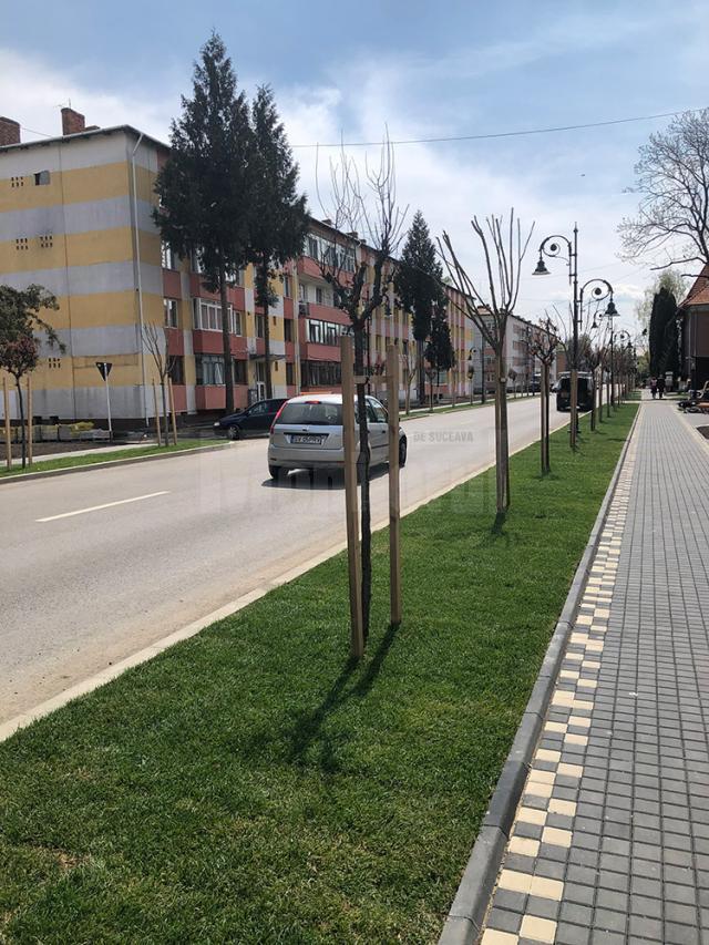 Modernizările de pe strada Bogdan Vodă, echilibru între boem și modernism