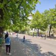 Strada Calea Burdujeni, din zona Parcului Copilului, redevine pietonală în fiecare duminică