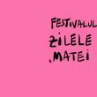 Au mai rămas 10 zile până la începerea celui mai important eveniment cultural al Sucevei - Festivalul Internațional „Zilele Teatrului Matei Vișniec”