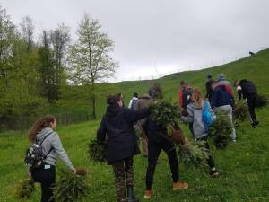 Activități educaționale atractive, la Colegiul Silvic „Bucovina”