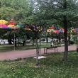 Aleea umbreluțelor colorate din Rădăuți „a înflorit” în această săptămână