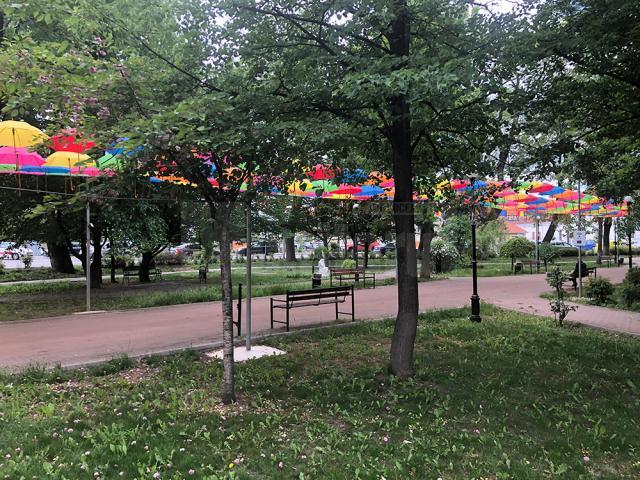 Aleea umbreluțelor colorate din Rădăuți „a înflorit” în această săptămână