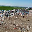Ce au găsit comisarii de mediu la Rădăuți, la platforma unde au interzis depozitarea de deșeuri