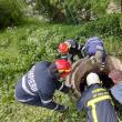 Vițel salvat de pompieri după ce a căzut într-o fosă septică
