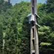 Camere video de monitorizare, pe drumurile forestiere administrate de RNP Romsilva