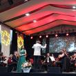 Concert extraordinar al Filarmonicii „George Enescu” din Botoşani