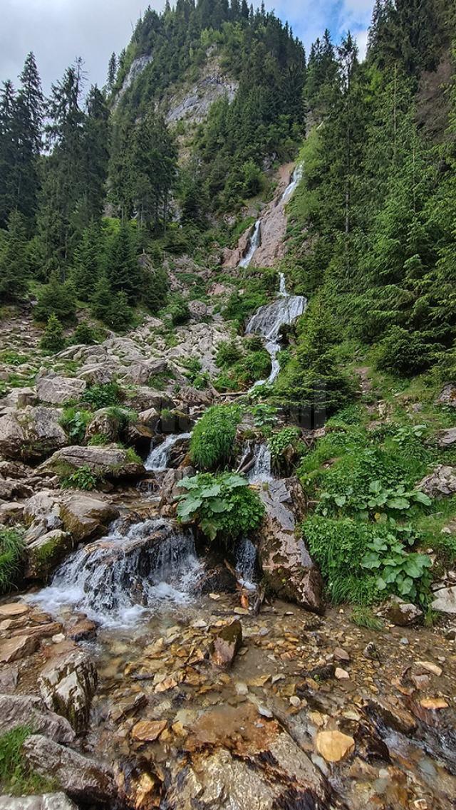 Cascada Cailor