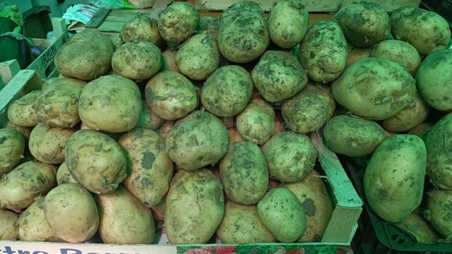 Subvenție de 200 de euro/ ha pentru cultivatorii de cartofi