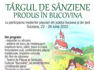 Programul Târgului de Sânziene din centrul Sucevei include și spectacole de teatru pentru copii