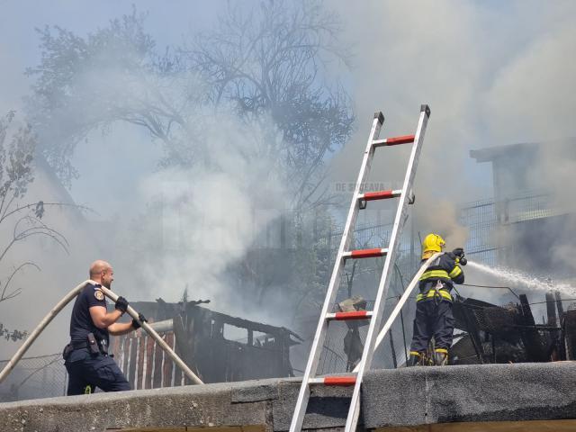 21 de găini au ars de vii într-un incendiu provocat de o țigară aprinsă aruncată la voia întâmplării