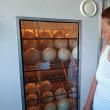 Domnica Horodnic verifică zilnic starea ouălor din incubator