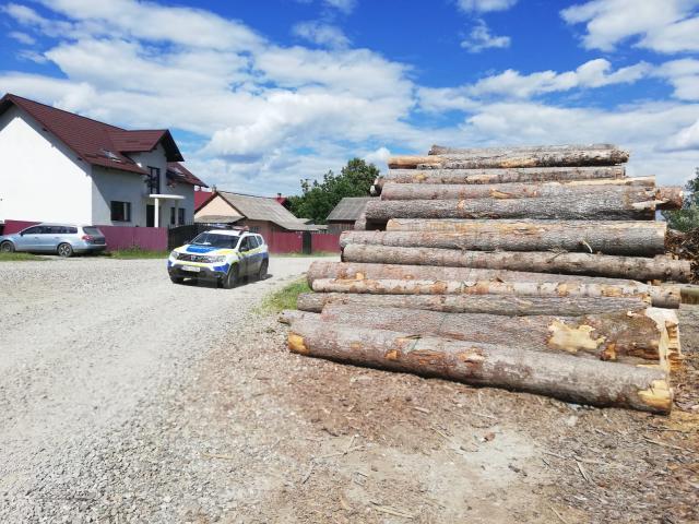 Polițiștii au confiscat o cantitate mare de lemn