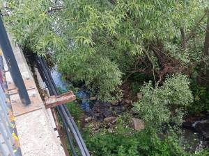 Râul Dorna, poluat constant