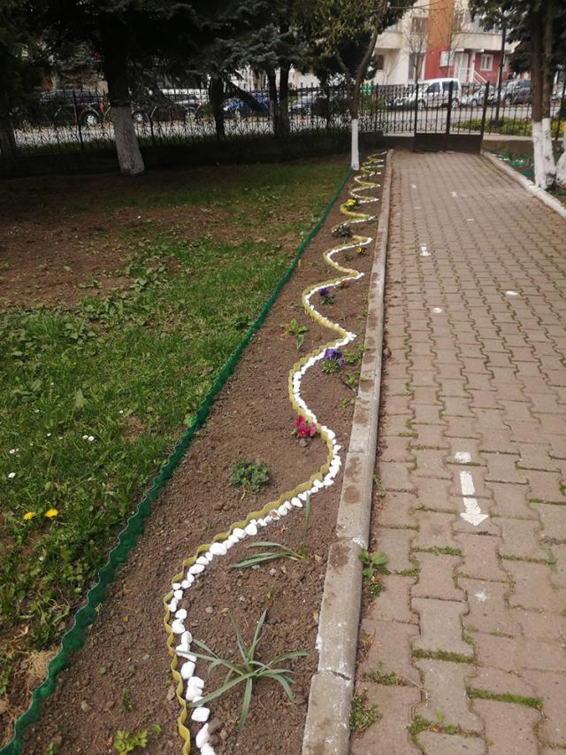 Elevii de la ”Nicu Gane” Fălticeni au amenajat curtea școlii cu flori și cu arbuști ornamentali