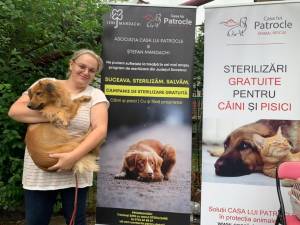 O campanie de sterilizare de amploare, care își propune să ducă la sterilizarea a câteva mii de câini și pisici, este în plină desfășurare în județul Suceava