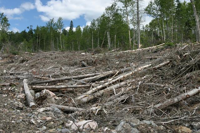 „Impresie întristătoare”