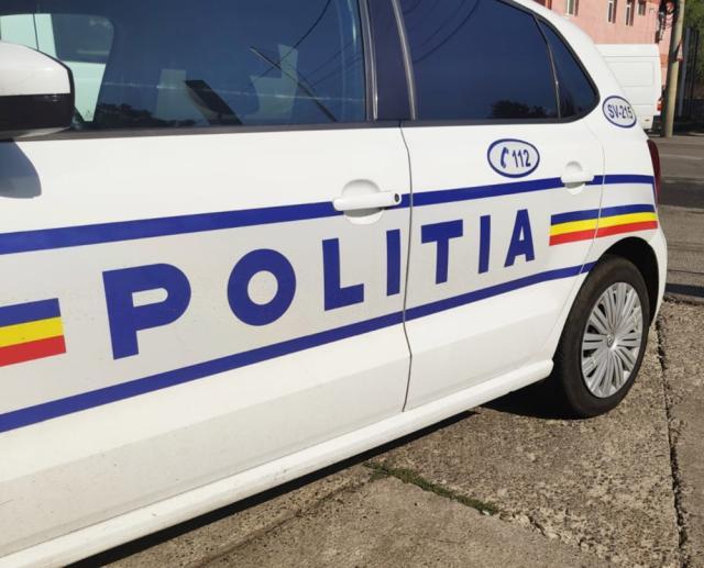 Polițiștii de la Secția Vadu Moldovei, o nouă demonstrație pe tema depistării transporturilor ilegale de lemn