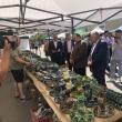 Președintele CJ Suceava Flutur a vizitat Târgul Olarilor „Ochiul de Păun”