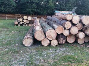 Mari cantități de lemn confiscate de la un depozit din Mălini