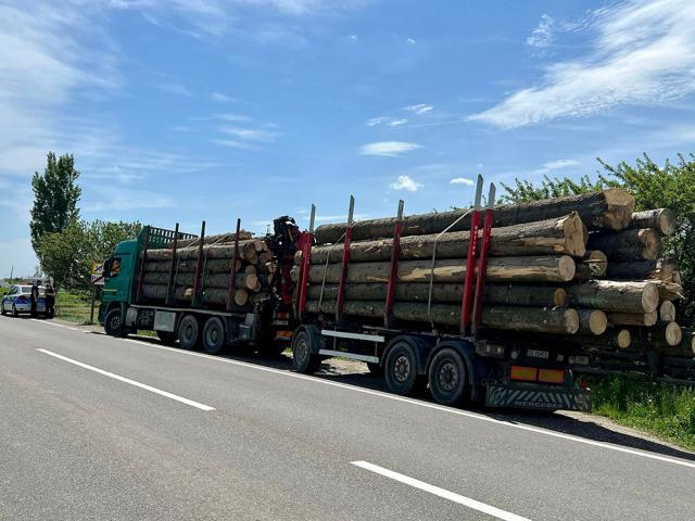 Autotren supraîncărcat cu lemne oprit în urma sesizării activiștilor de mediu